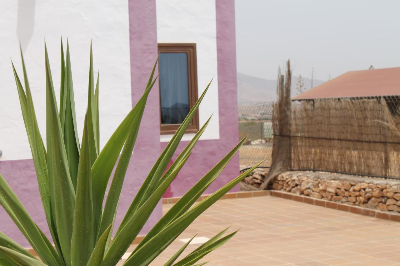 Casa Volcan De Gayria Valles de Ortega Dış mekan fotoğraf